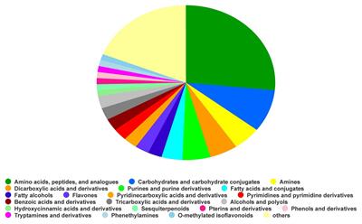 Cell-Free Fermentation Broth of Bacillus velezensis Strain S3-1 Improves Pak Choi Nutritional Quality and Changes the Bacterial Community Structure of the Rhizosphere Soil